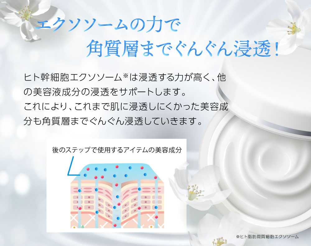 ルジュ プレジールクリーム＜クリーム＞ ｜ ミルキーセレクション