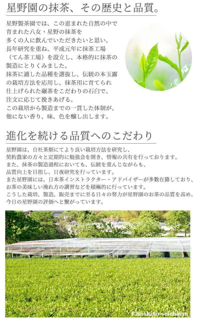 Hoshino Seichaen ( Hoshi no Tsuyu- 星の露) 20g/40g – Misora Yamamoto