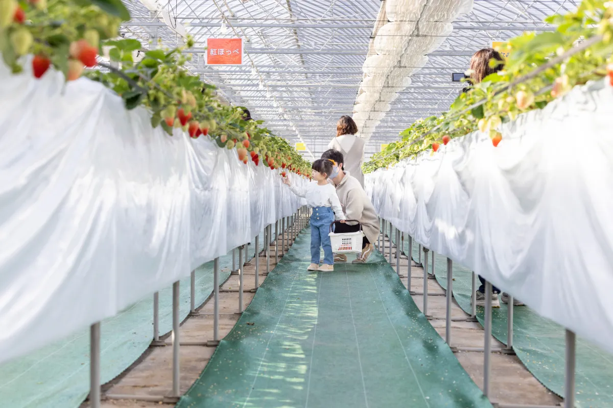 山田みつばち農園-岡山県北、鏡野町