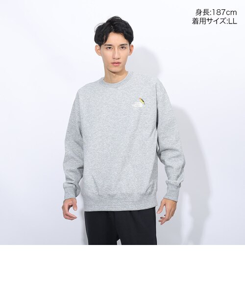 ザ・ノース・フェイス（THE NORTH FACE）トレーナー スウェット ズー