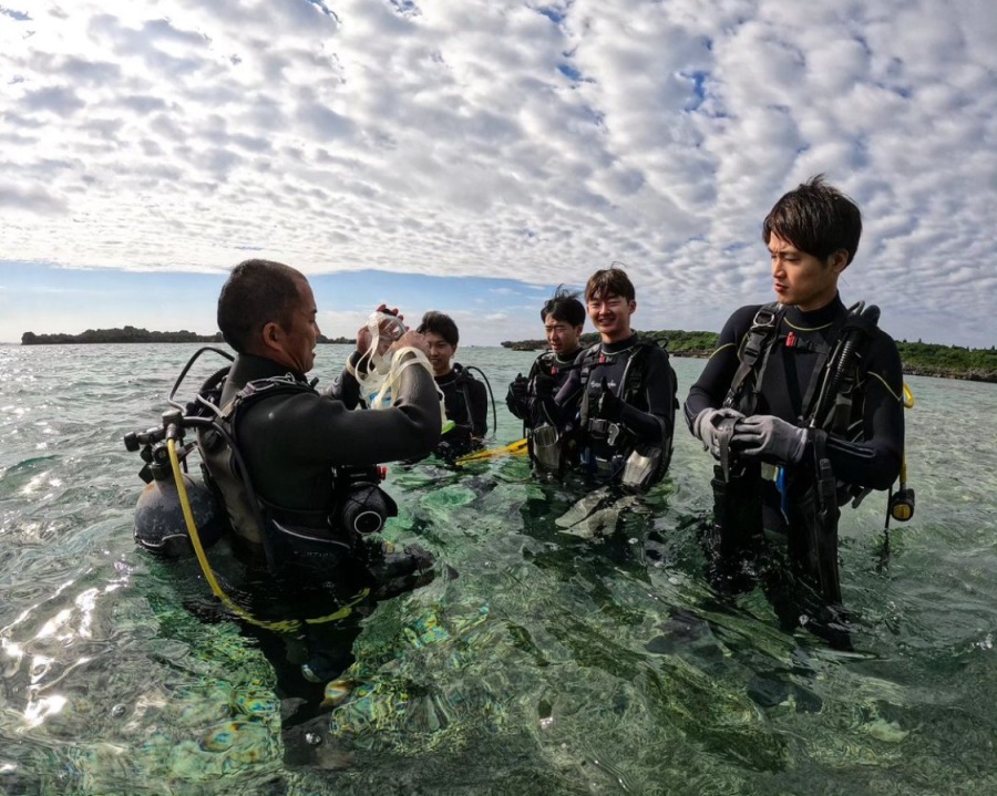 2026年最新】【初心者OK】宮古島ダイビング体験ツアーを予約・比較