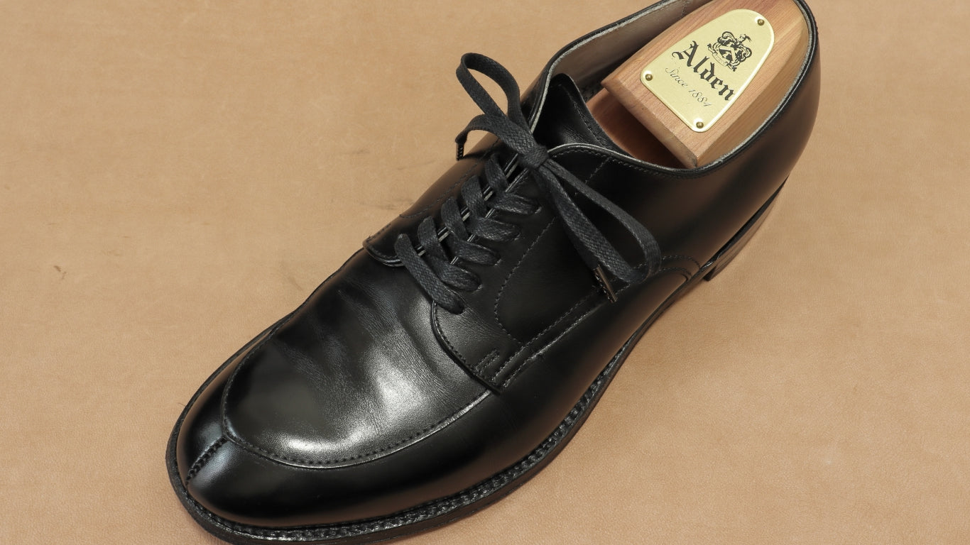 194_aldenrecommend_1366x.jpg?v