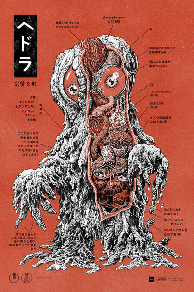 Hedorah Anatomy Variant Poster – Mondo