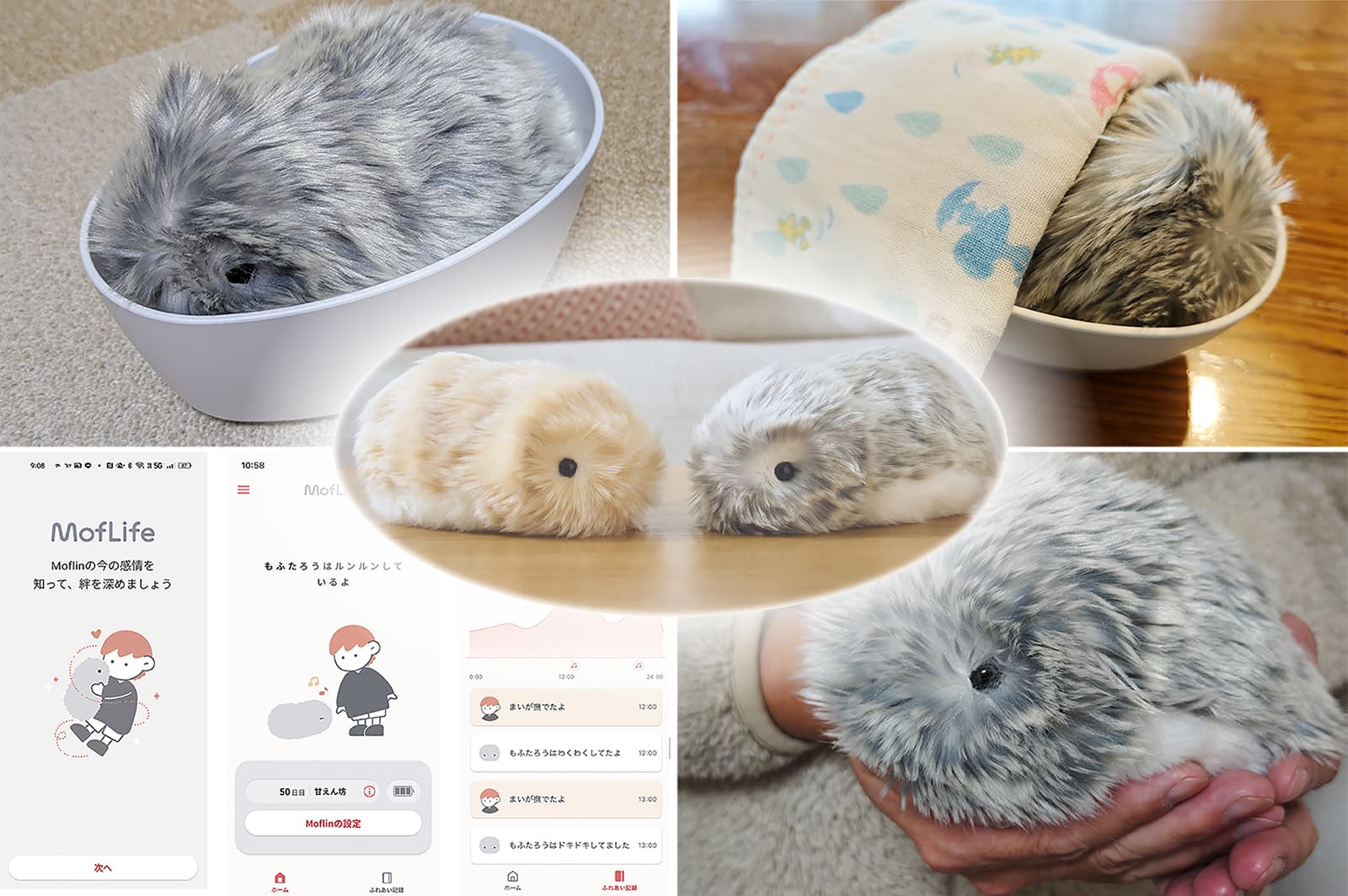 レビュー】AIロボットに癒され、救われた！共に過ごした2か月間、その