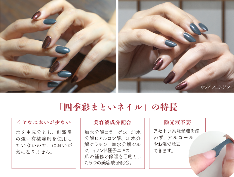 劇場版モノノ怪×四季彩まといネイル特装箱 – 劇場版モノノ怪