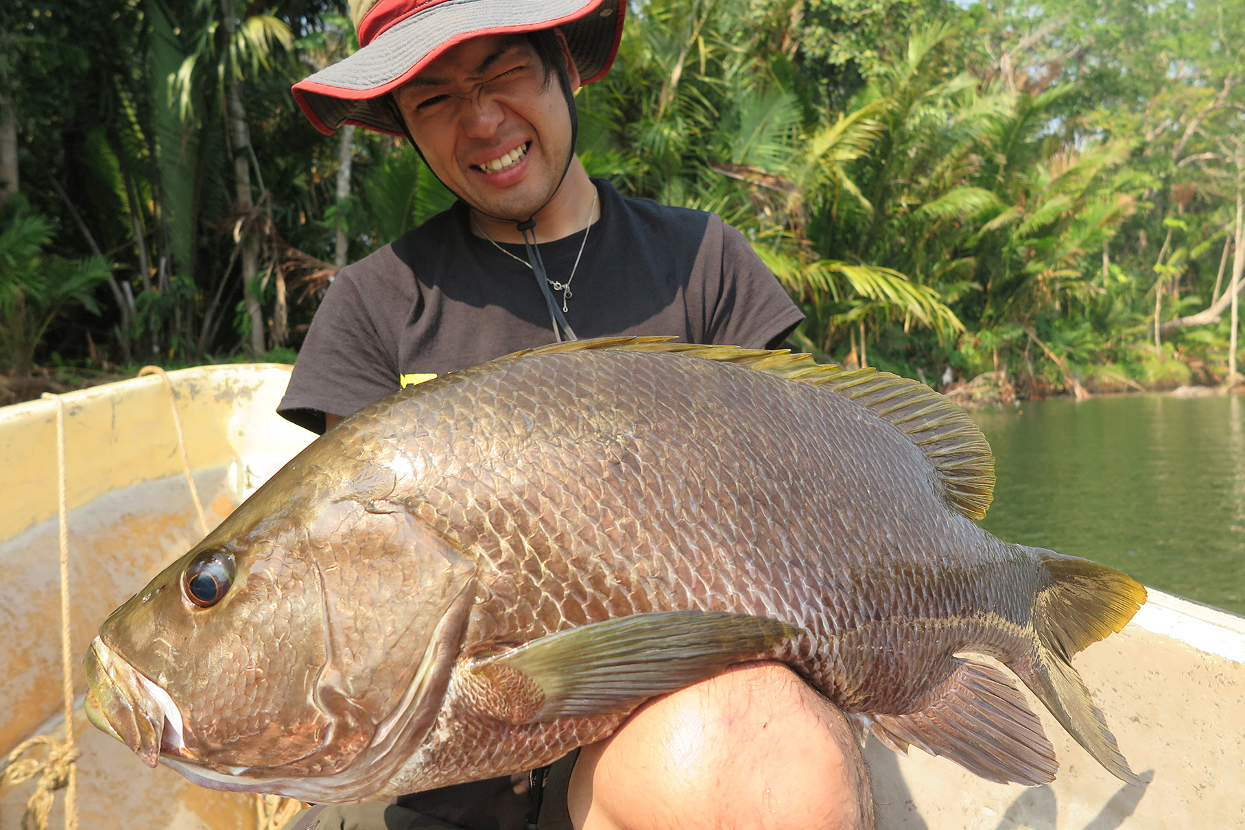 Dear Monster Valitudo MV-65 - Monster Kiss モンスターキス