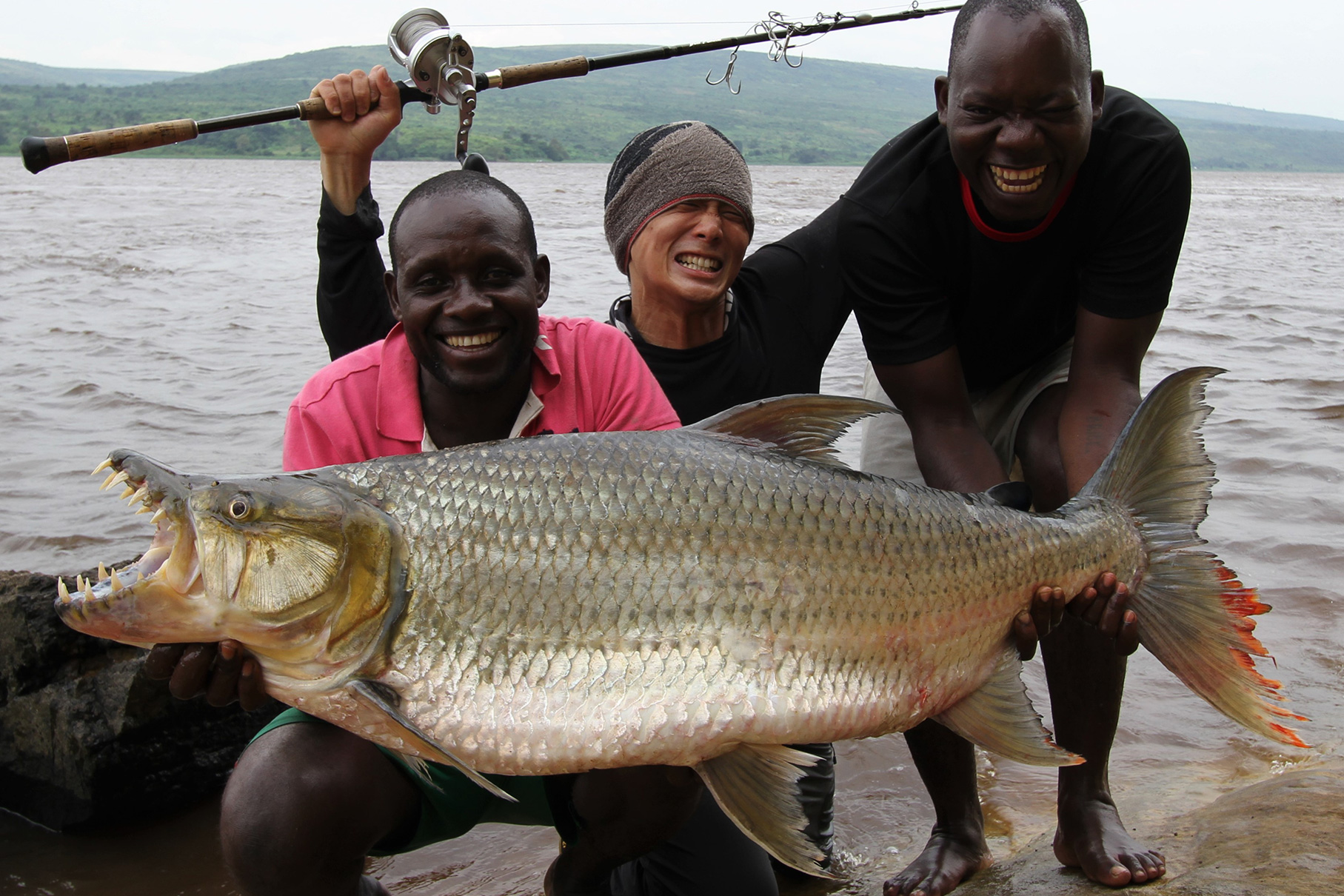 モンスターキス ディアモンスター MX-1 テレスコ パックロッド Dear