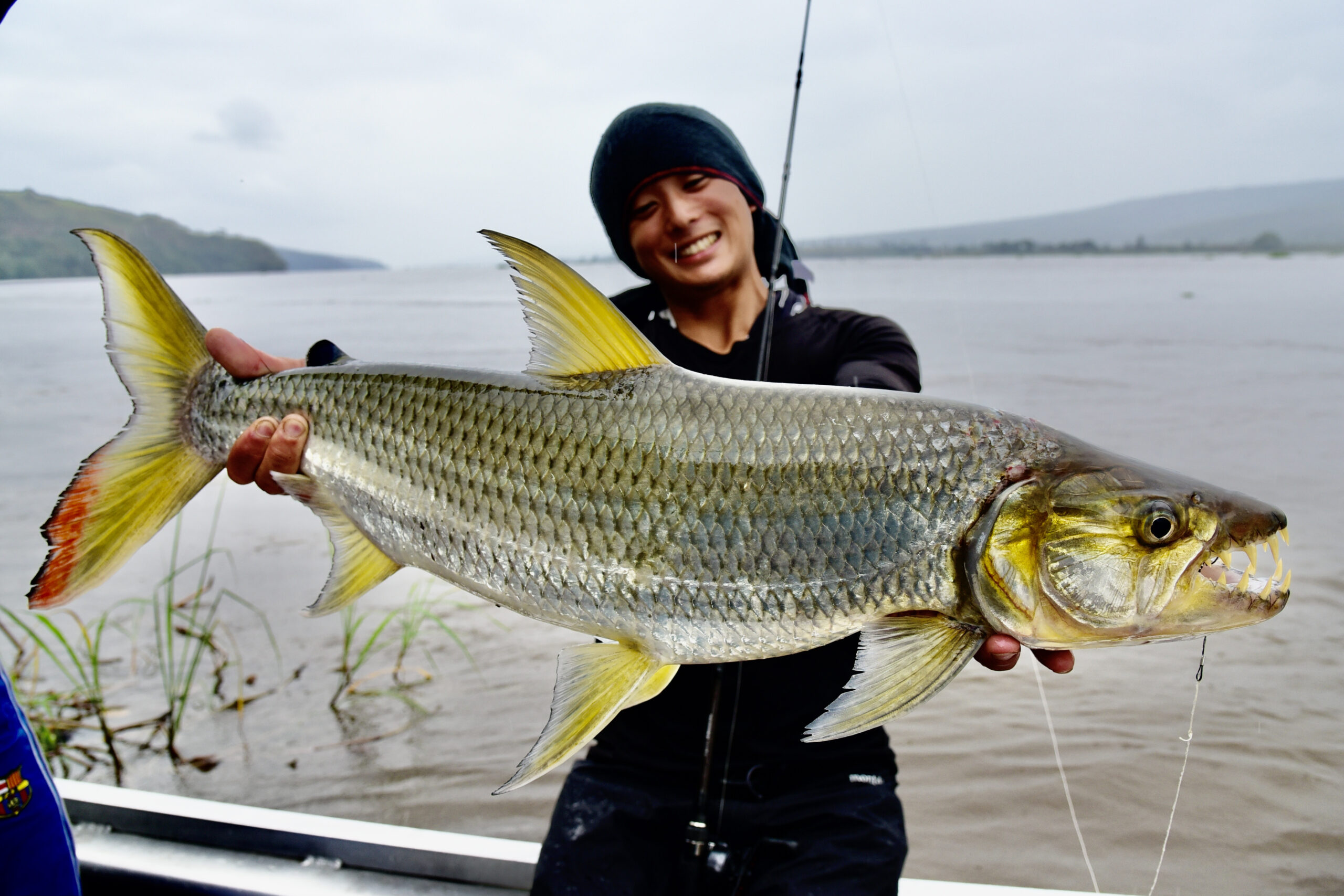 まさか！」に備え「ここぞ！」に刺さる“珍魚ロッド”「MV-55」の
