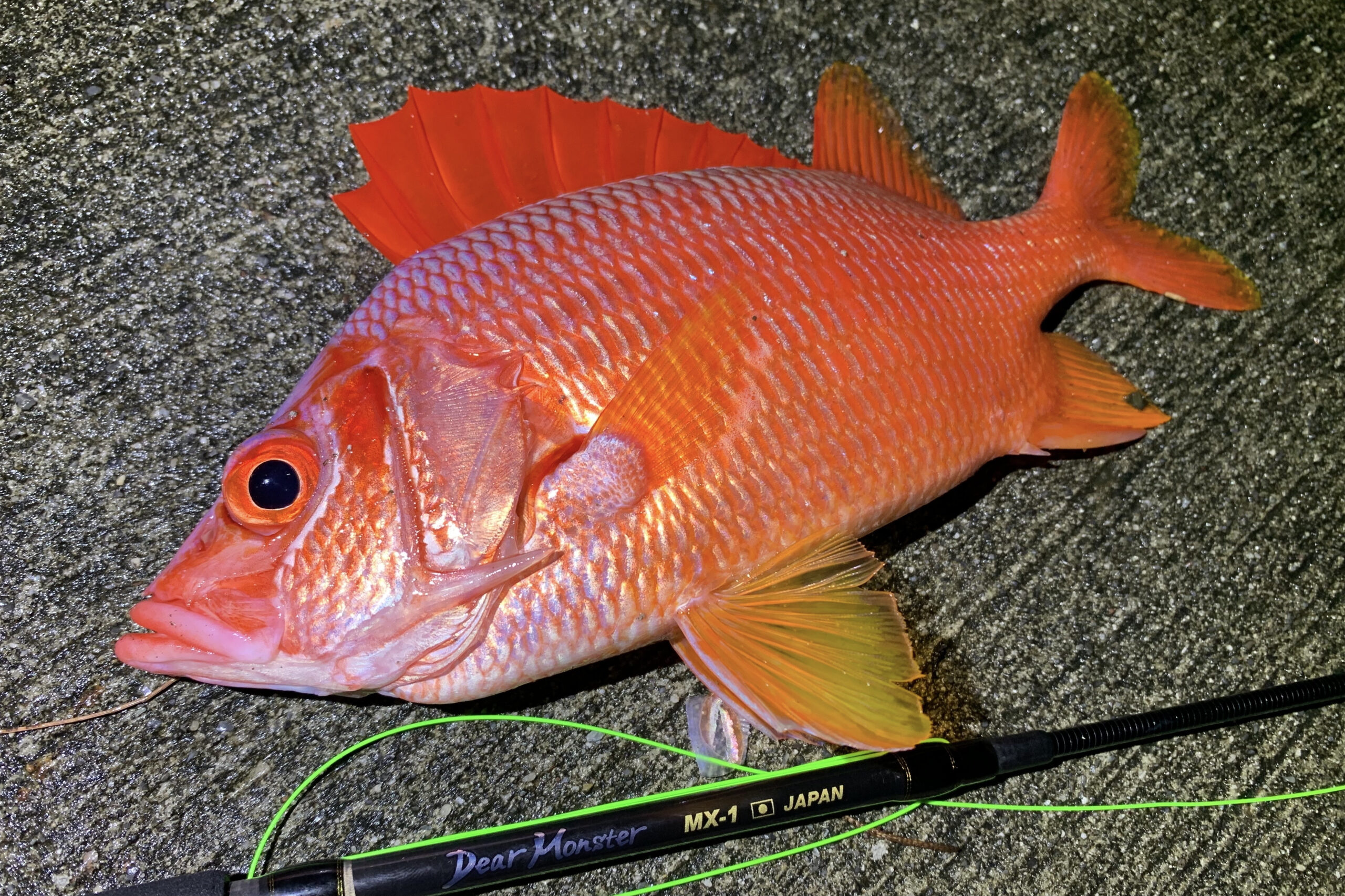 多様性を釣り遊ぶ竿「MX-0」と「MX-1」について。 - Monster Kiss