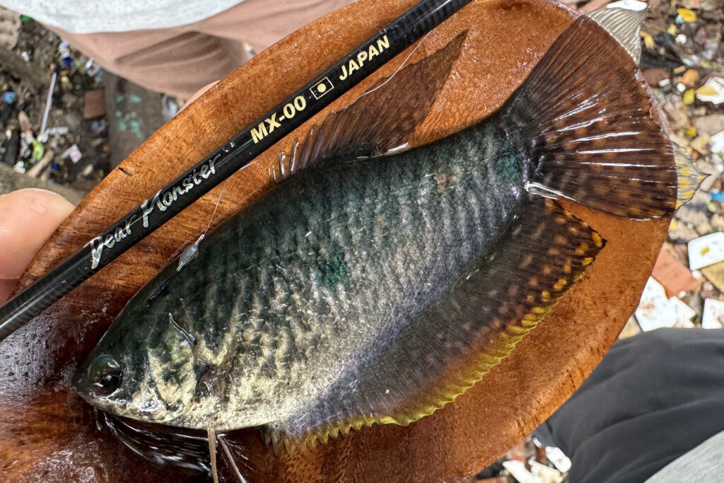 Dear Monster MX-00 - Monster Kiss モンスターキス