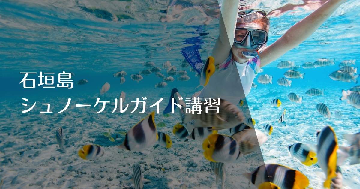 石垣島でシュノーケルガイドを目指す方へ｜プロ向け講習｜MOANA