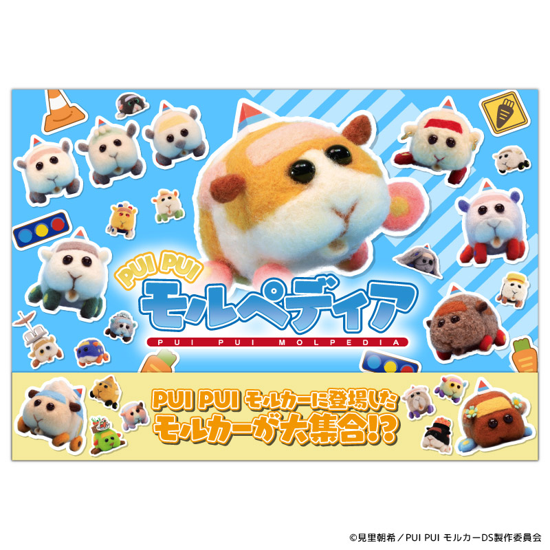 NEWS｜PUI PUI モルカー【公式】