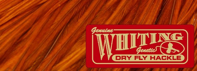 WHITING ホワイティング ジェネティック ハックル 杜の家ブルック 通販