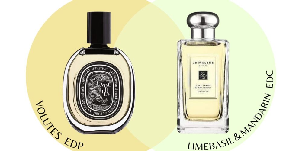 ディプティック【ヴォリュート】と似てる香りは？口コミレビューから