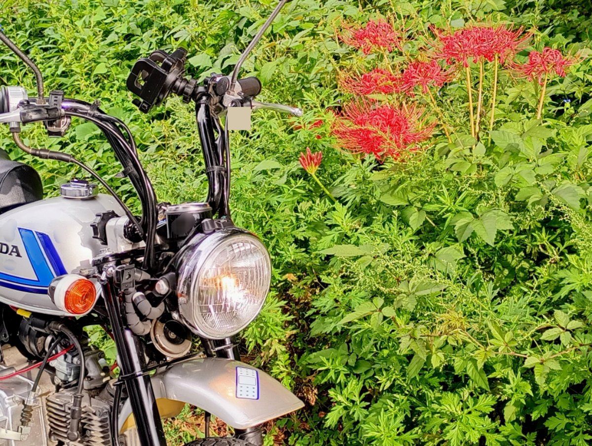 投稿詳細｜MOTOCLE