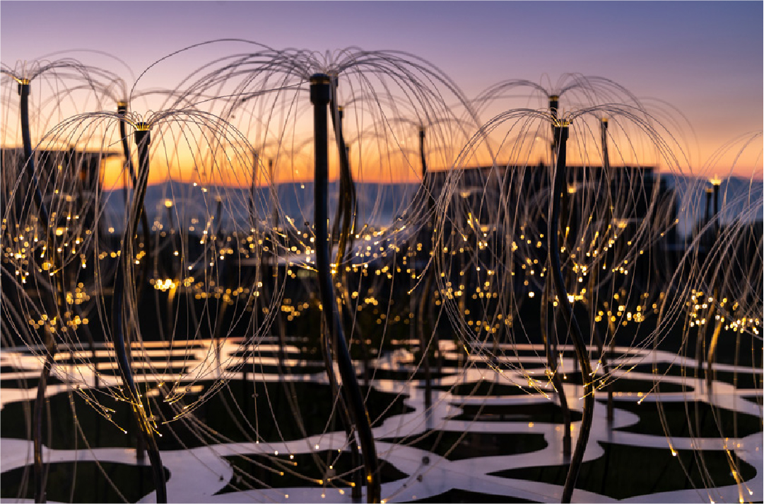 shop | Mountain Lights | マウンテンライツ 光のアート