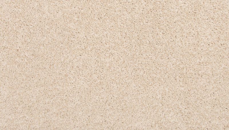 Shop Mohawk Everstrand Spectrum Linen Lace PM561-702 Carpet