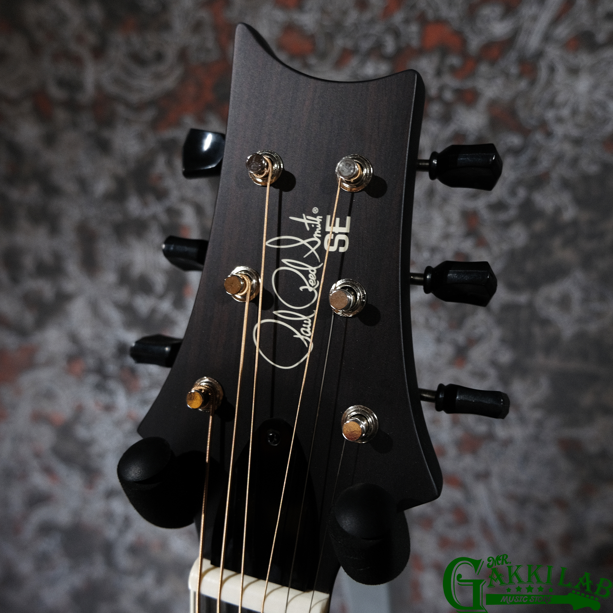 Paul Reed Smith(PRS) SE P20E Dog Hair w/ Fishman Presys VT Pickup