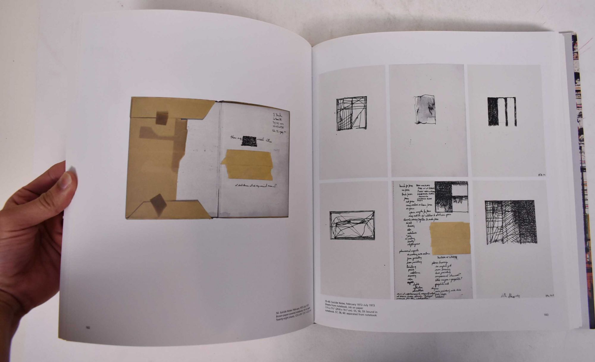 Plane Image: A Brice Marden Retrospective | Gary Garrels