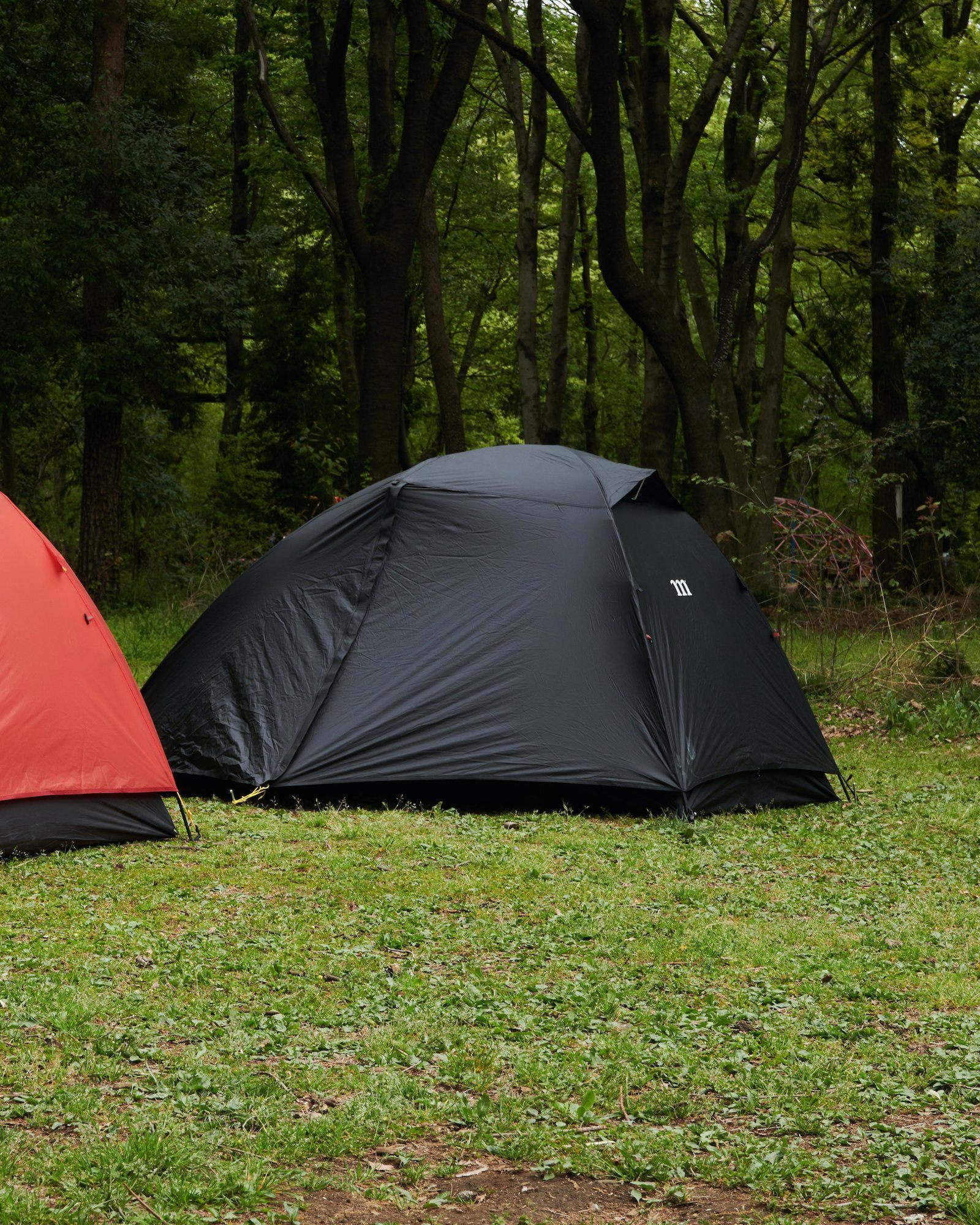 BLACK_2b99bdcd-2698-46c4-85ef-