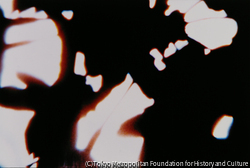 マーガレット・バーク＝ホワイト | ToMuCo - Tokyo Museum Collection