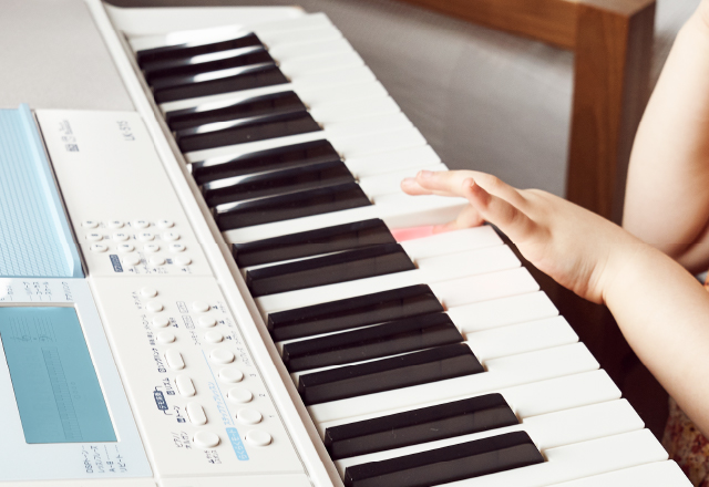 LK-515 | 光ナビゲーションキーボード | 電子楽器 | CASIO