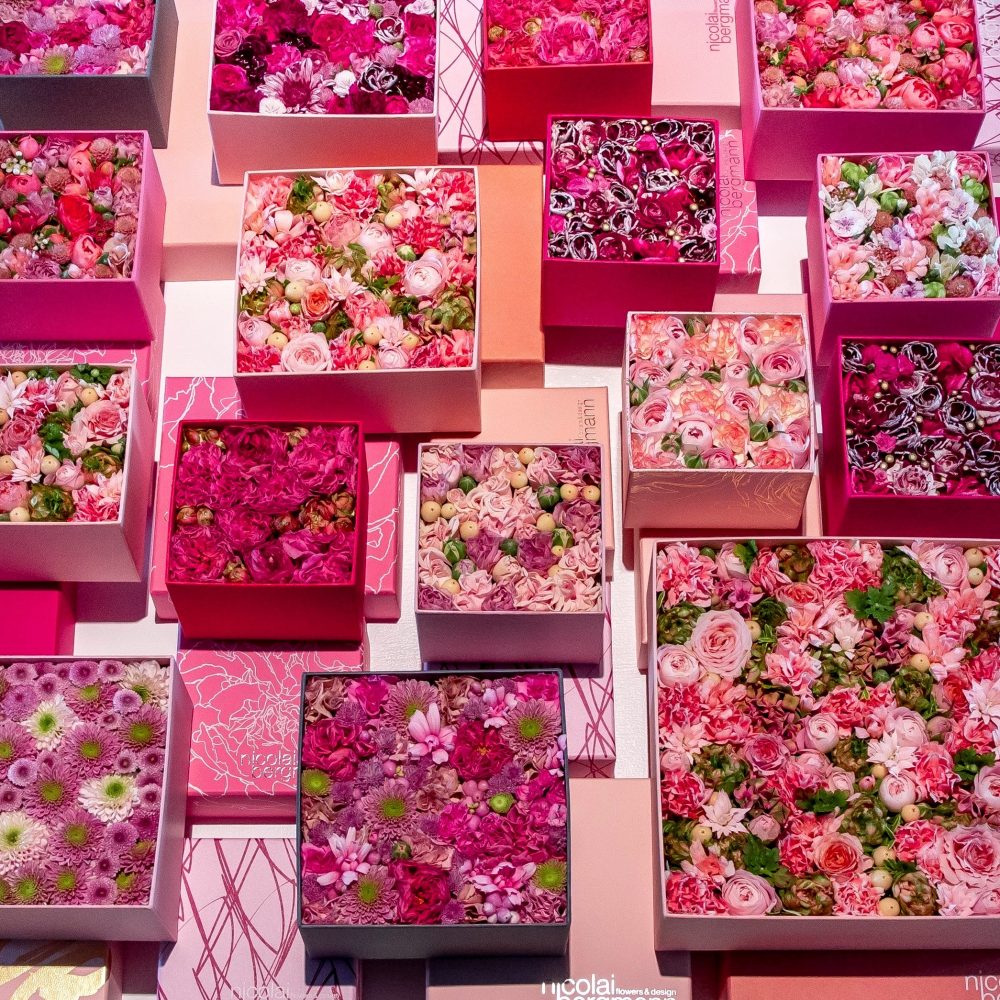 ニコライ・バーグマンが太宰府天満宮にて「THE FLOWER BOX EXHIBITION