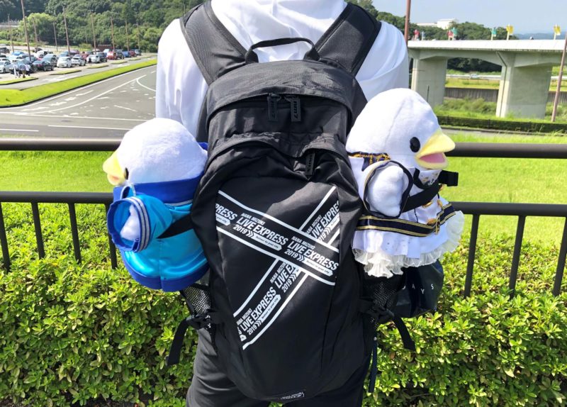 レビュー】水樹奈々 LIVE EXPRESS 2019 のグッズを使った感想 | 今日は