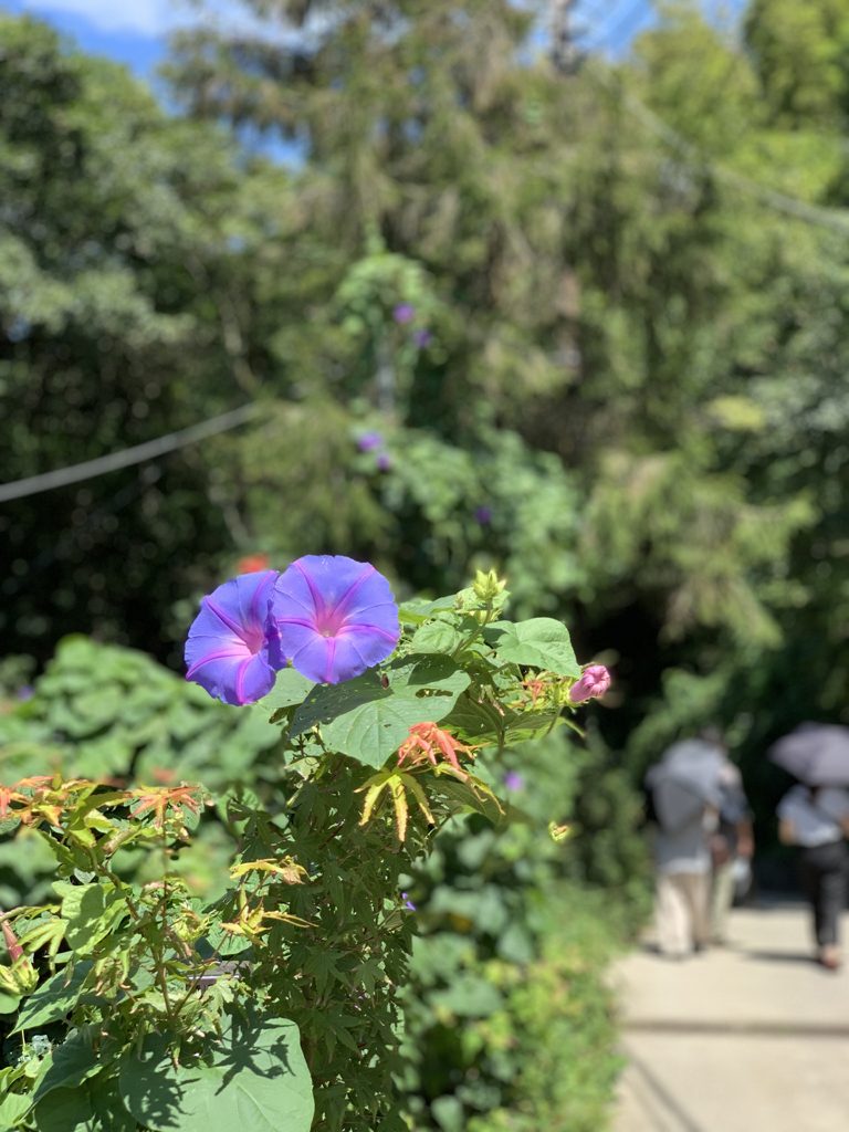 未来への発想法』 政木和三 東洋経済新報社 | 出張専門 東京自律神経整体