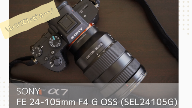 FE 24-105mm F4 G OSSをレビュー | 欠点など購入前に知りたいことを