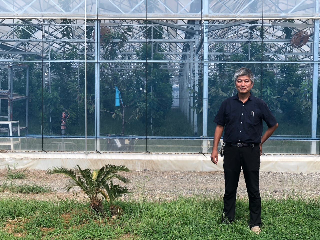 野田市】新たな果物狩りスポット誕生！リニューアルした「フルーツ