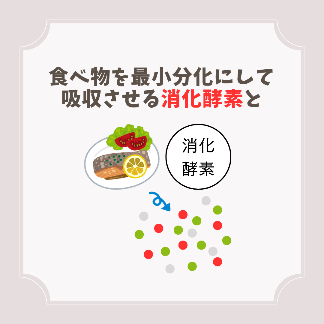ユニパで代謝を上げる！ - 健康工房 和み人