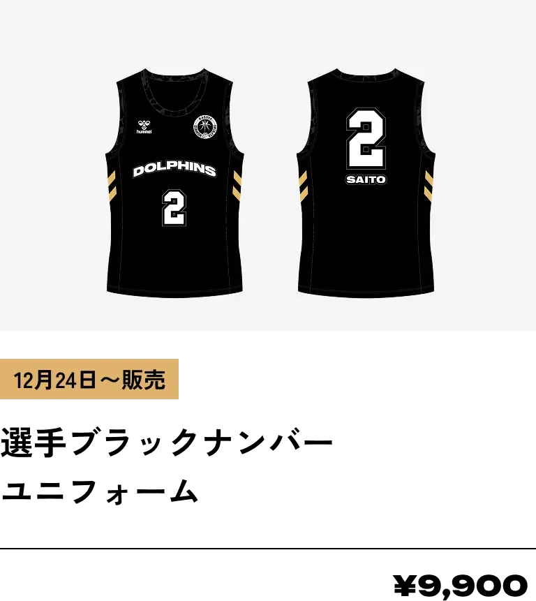 DOLPHINS FESTIVAL｜2025-26 SEASON | 名古屋ダイヤモンドドルフィンズ