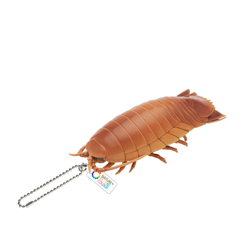 ダイオウグソクムシ カチューシャ ダイオウグソクムシ カチューシャ