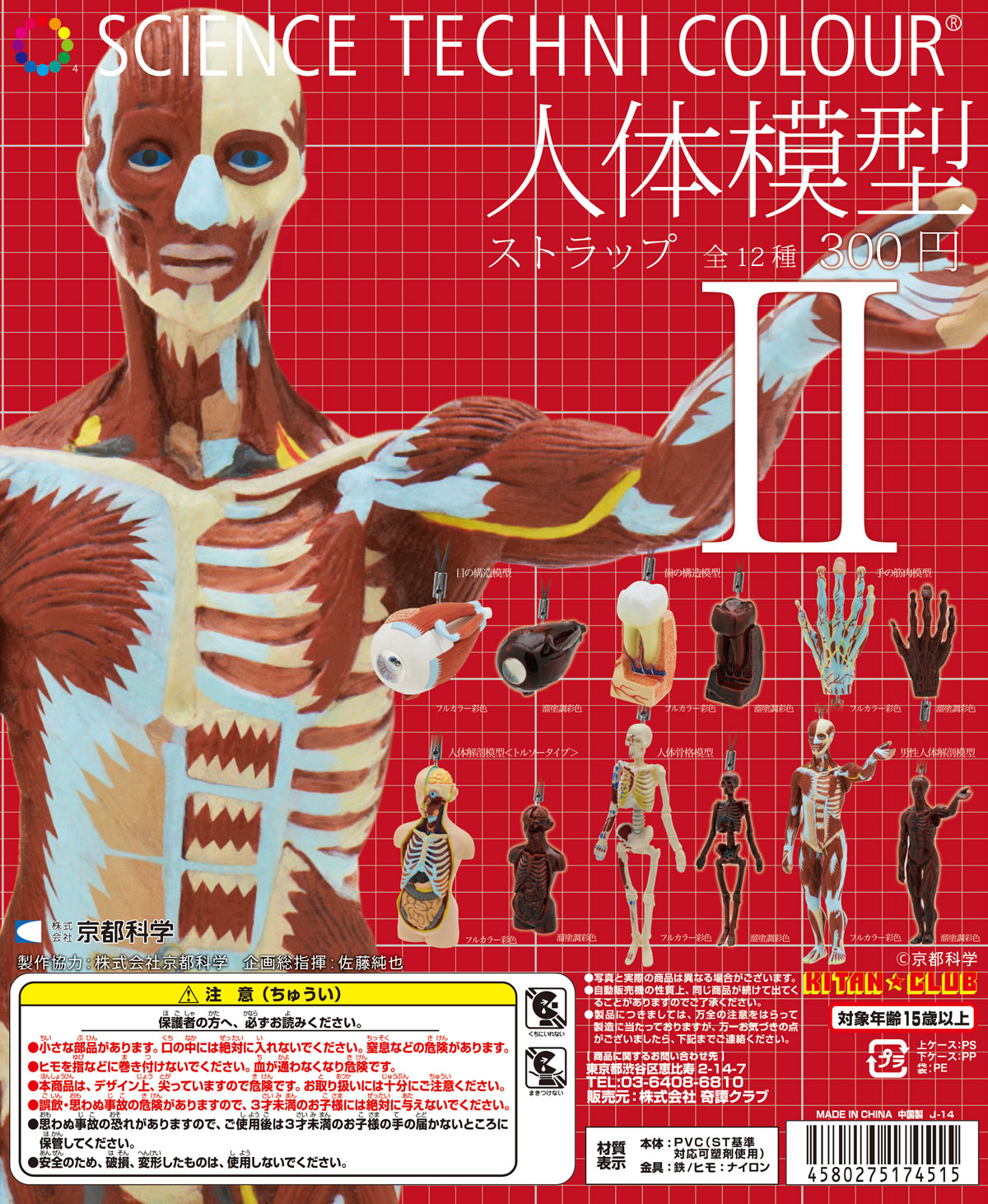 人体模型 ストラップII – ネイチャーテクニカラー公式