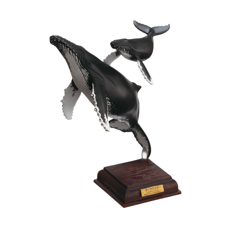 NTC 小笠原 特装版 – ネイチャーテクニカラー公式