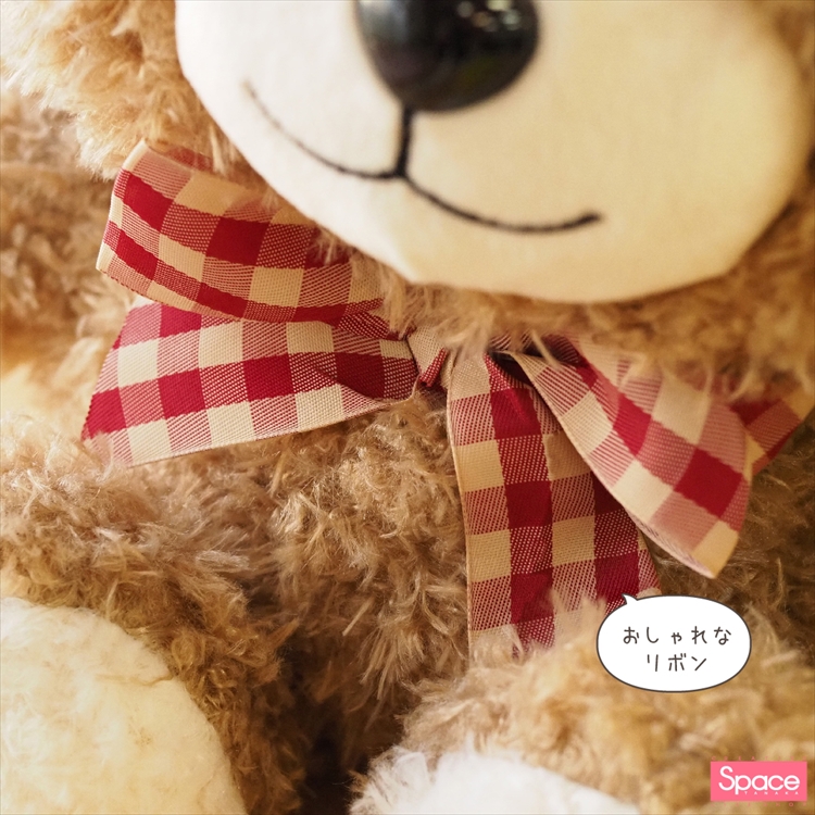 スペース田中限定！くまちゃん | フジグランナタリー