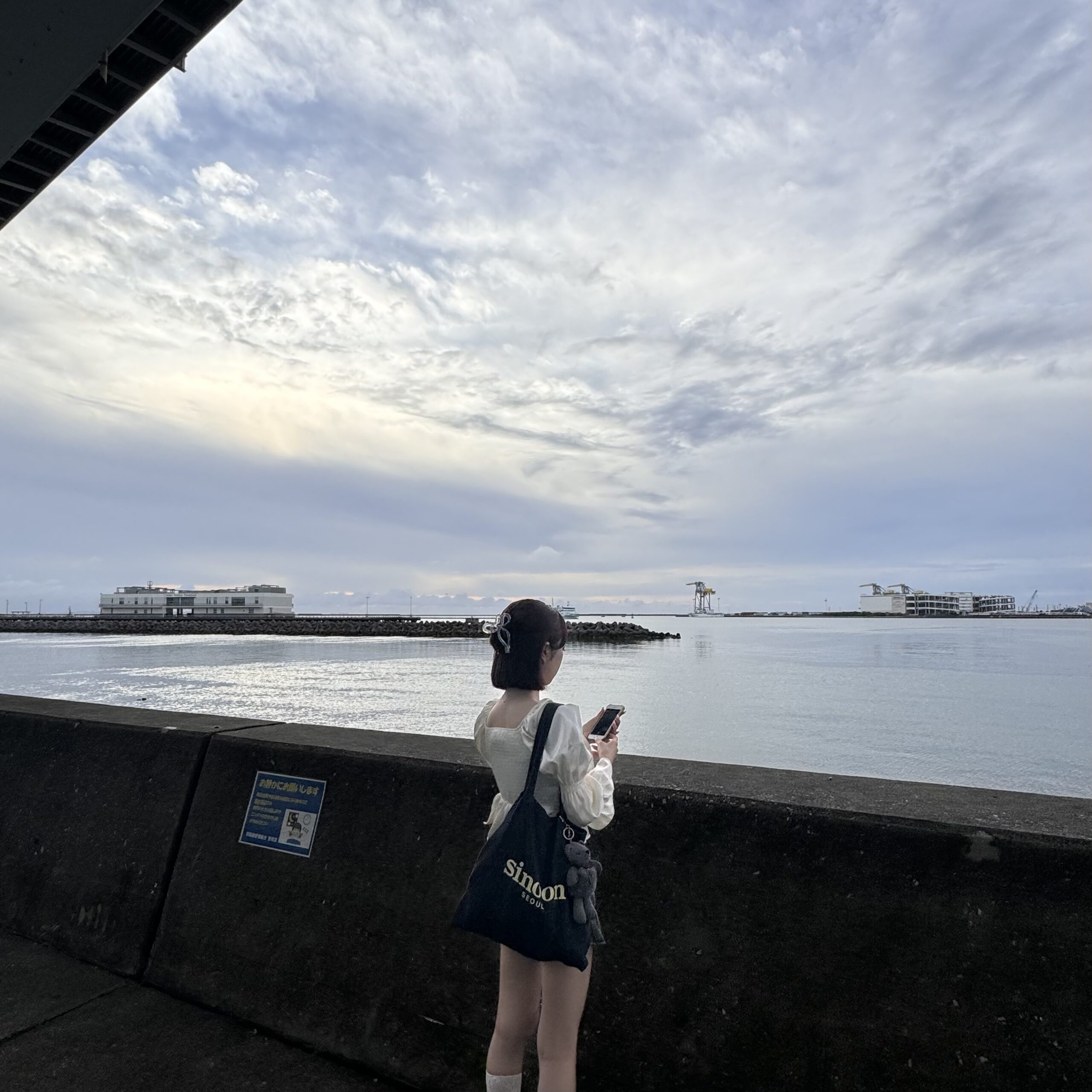 根本研究室 » About／奈良女子大学