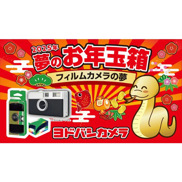 ヨドバシカメラの福袋「夢のお年玉箱」2025年を予想しよう✨ | 晴笑雨