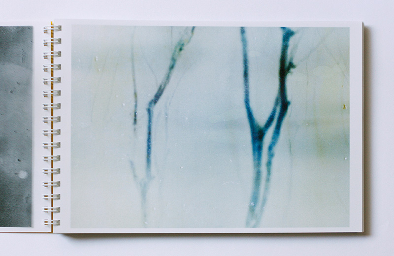 TORANSUPEARENTO” Daisuke Yokota 横田大輔 - Newfave