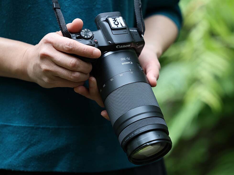 フルサイズ対応でも3万円台！ キヤノンが望遠ズームレンズ「RF75-300mm