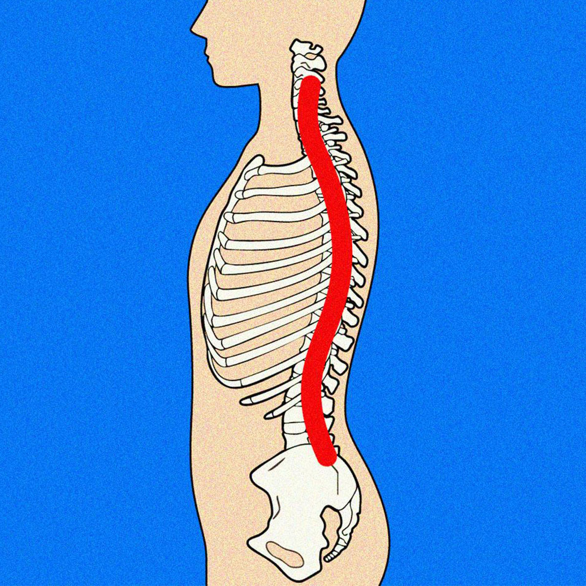 Tarzan】猫背・首こり・腰痛の元凶は背骨だった。“C字化”を止めるS字