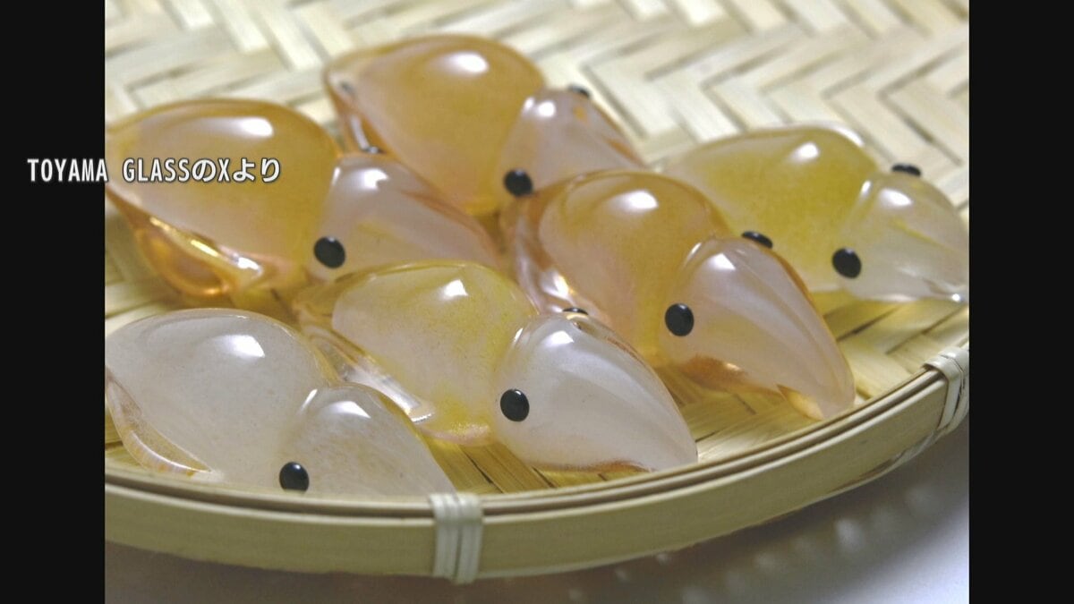 30分で爆売れ「ホタルイカ」はつやつや質感のガラス工芸…“若干