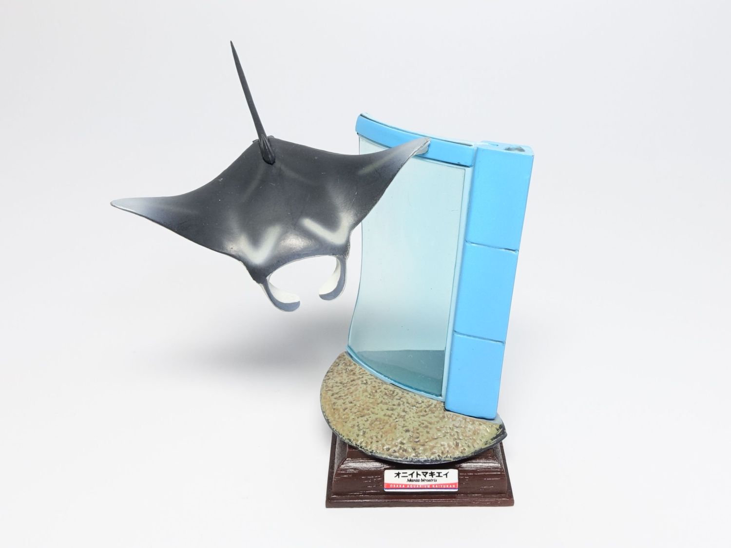 ネイチャーテクニカラー 海遊館ミュージアム ページ2