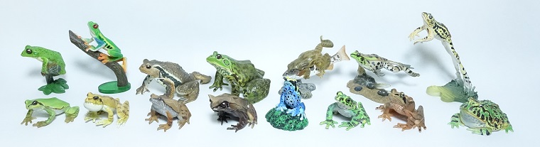 原色両生類カエル図鑑[新改訂版]