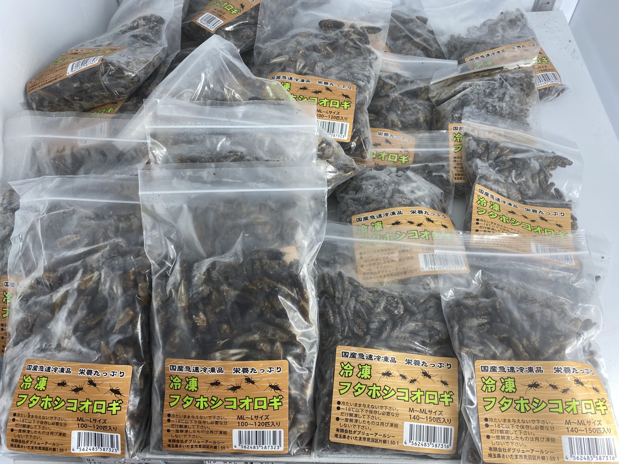 🦗冷凍コオロギ大量入荷しました❗️🦗 | NICO PET（ニコペット）