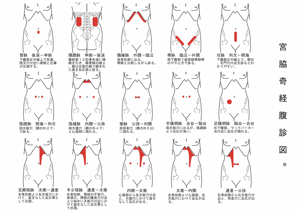 こんな治療法も習得できます（宮脇奇経治療、古野式経絡骨盤調整療法