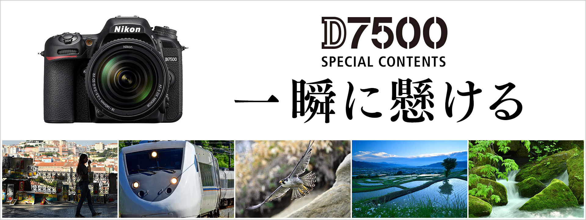 D7500 - 概要 | 一眼レフカメラ | ニコン
