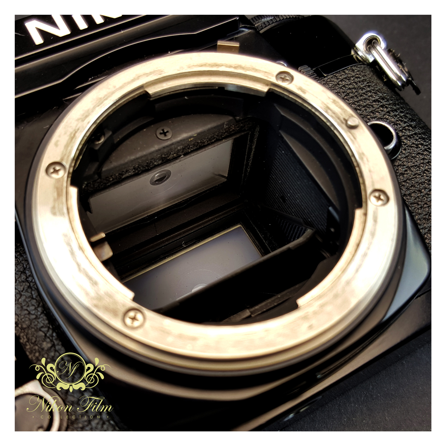 Nikon EL2 - Black - NIKON-FILM