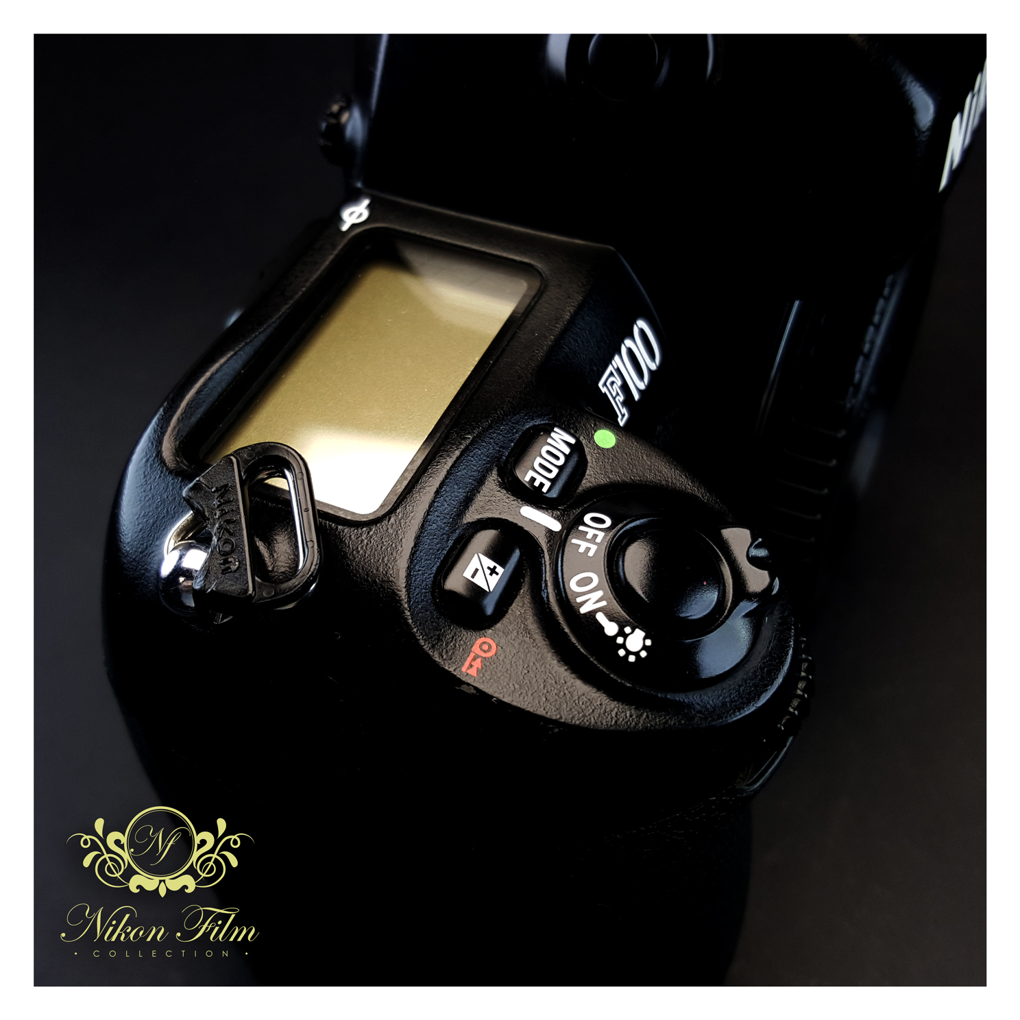 Nikon F100 - NIKON-FILM